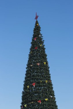 # Şehir Noel ağacı, güneş ışığında # # Mavi gökyüzüne karşı bir kış günü #