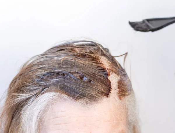 Színező szürke haj egy szépségszalonban vagy otthon — Stock Fotó