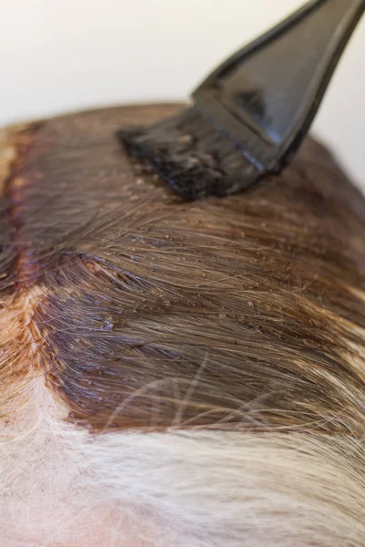coloring gray hair in a brown tone close-up