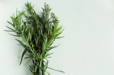 Şifalı bitkisel yeşil tarhun yayları açık arkaplanda.