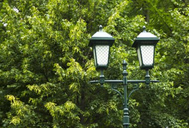 Gündüz vakti yeşil ağaçların arka planında parktaki bir fenerin fotoğrafı.
