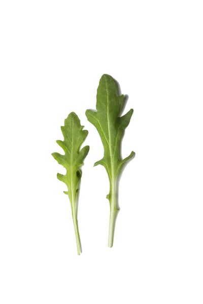 Два Листя Руколи Зелений Лист Салату Ізольовані Білому Фоні — стокове фото