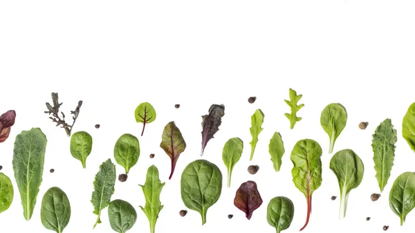 Tata Letak Datar Dari Berbagai Daun Segar Salad Hijau — Stok Foto