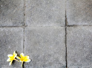 Çiçekler taş doku