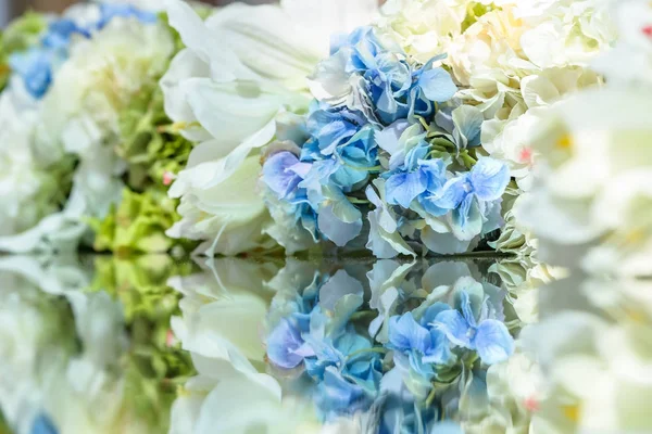 Çiçekler ve onların yansıması. Çiçek arka plan