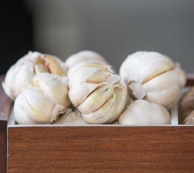 Taze organik sarımsak ve sarımsak ampul 