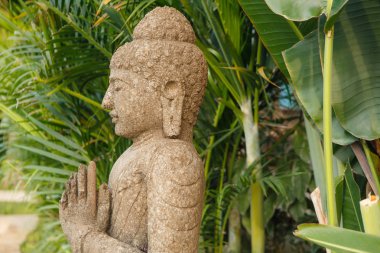 Grunge vintage doğada Buda heykeli