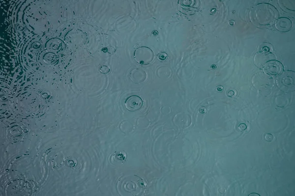 Regnet droppar på ytan av vatten i en vattenpöl sjö flod eller bajs — Stockfoto
