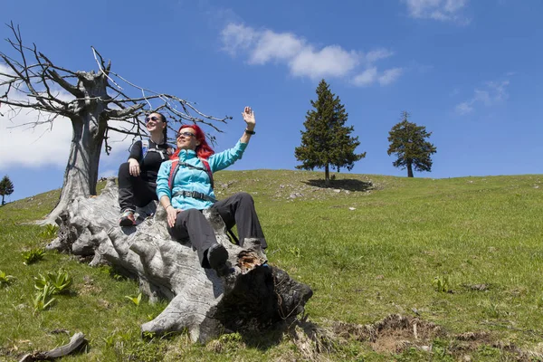 Happy hikers resting and waving hello on old tree trunk in mountain nature on sunny day — Stock Photo, Image