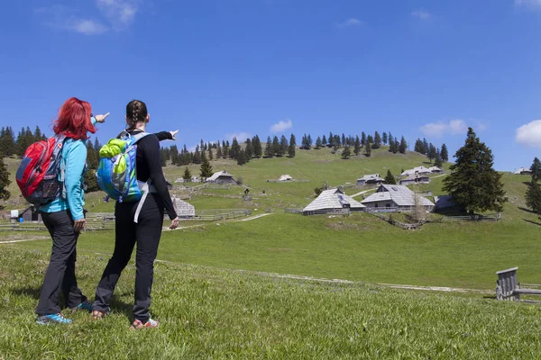 Hiking  Hikers walking on hike in mountain nature on sunny day — Stock Photo, Image