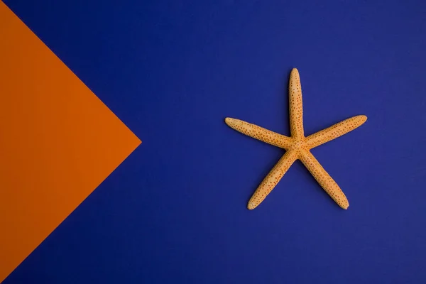 Mavi Arka Planda Denizyıldızı — Stok fotoğraf