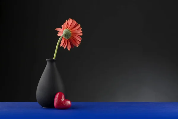Gerbera v váza — Stock fotografie