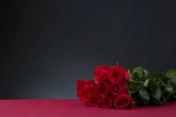 Rosas Com Fundo Escuro — Fotografia de Stock