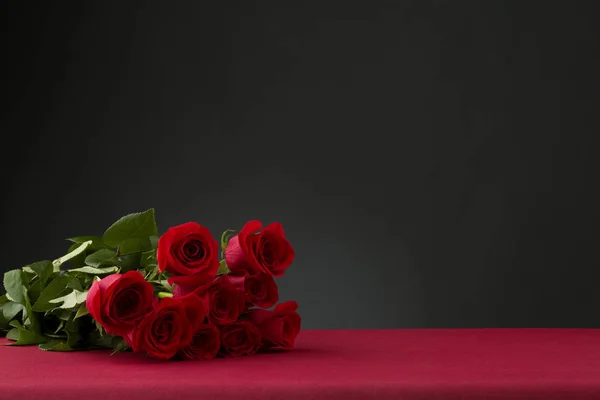 Rosas Com Fundo Escuro — Fotografia de Stock