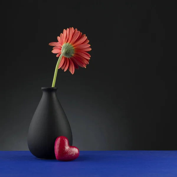 Gerbera i vase på den sorte baggrund . - Stock-foto