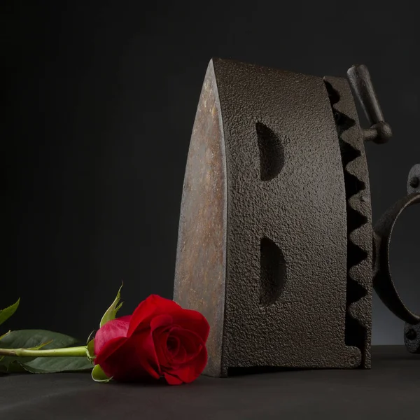 Παλιάς χρονολογίας σιδήρου και τριαντάφυλλο — Φωτογραφία Αρχείου
