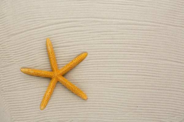 Морская звезда на песке для фона — стоковое фото