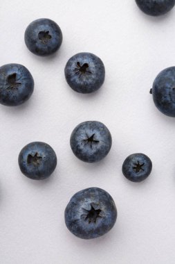 yaban mersini portre resim