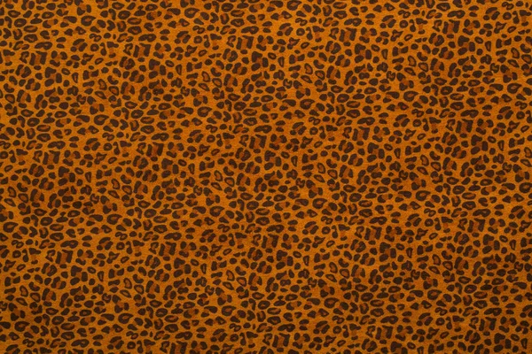 Leopard getupftes Fell Textur Hintergrund — Stockfoto