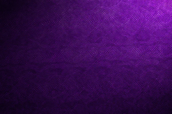 Texture Pelle Serpente Colore Viola — Foto Stock