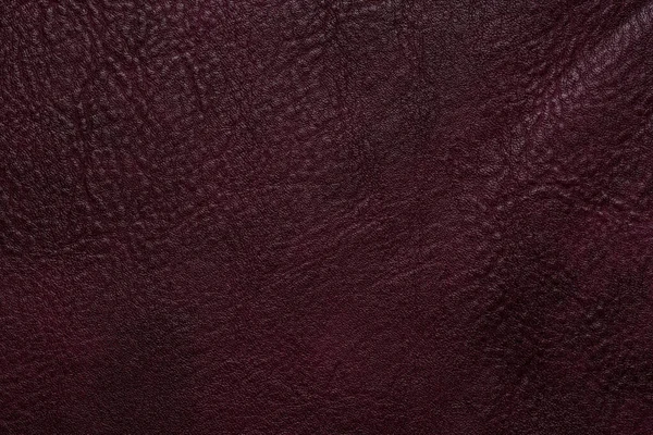 Texture Cuir Violet Fond — Photo