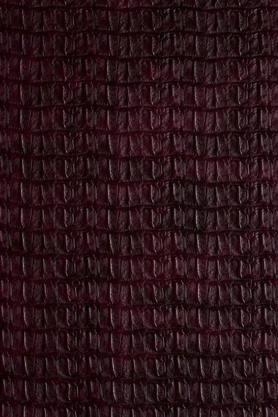 Rote Haut Leder Textur Für Hintergrund — Stockfoto