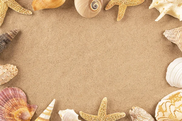 Seashells pe nisip . — Fotografie, imagine de stoc