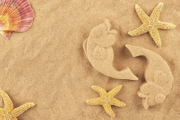 Pești de nisip turnat și stele de mare — Fotografie, imagine de stoc
