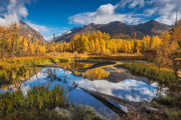 Schöne Herbstliche Berglandschaft Sibirien Russland lizenzfreie Stockfotos