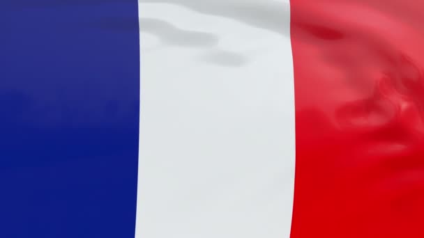 Bandera de France — Vídeos de Stock