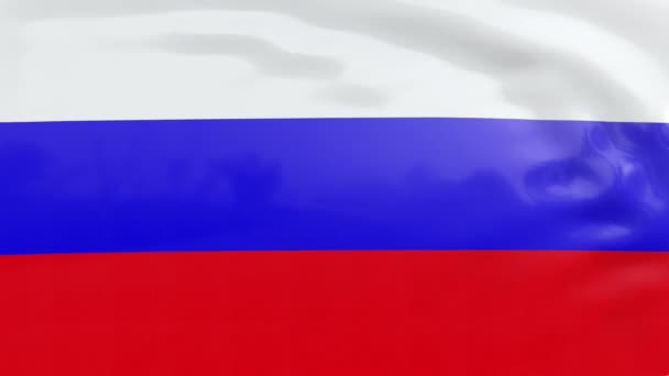 Bandera de Rusia — Vídeos de Stock