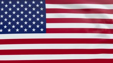 Amerika Birleşik Devletleri Bayrağı