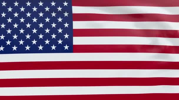 Bandiera degli Stati Uniti d'America — Video Stock