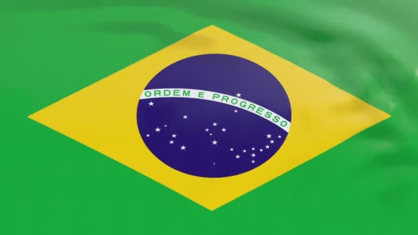 Флаг Бразилии — стоковое видео