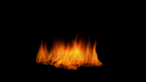 Ziemi na białym tle ogień 60 Fps - Fire Camp 01 — Wideo stockowe