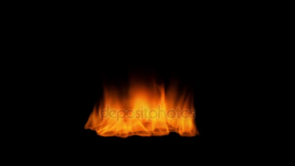 Fuego en tierra aislado 60 Fps - Campo de fuego 02 — Vídeos de Stock