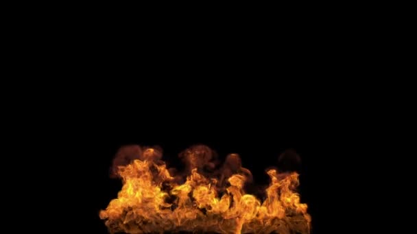 Large Grand feu au sol Lent 2 — Video