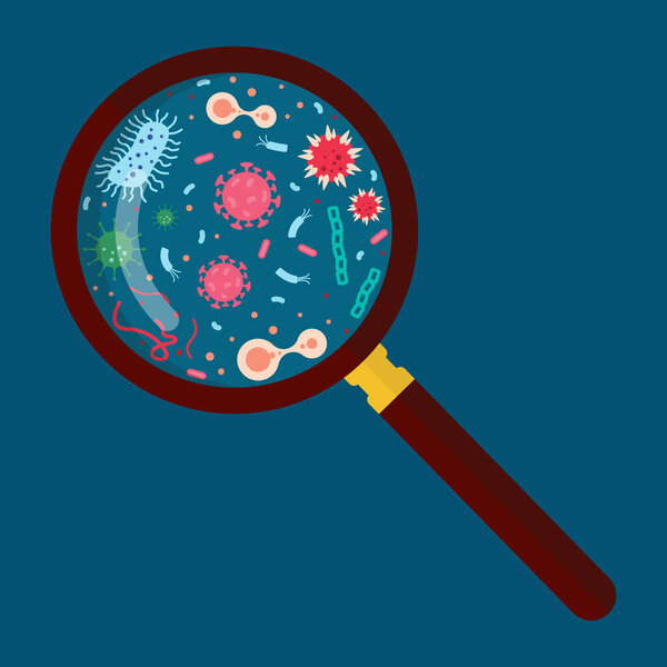 Magnifying glass with virus and bacteria. Vector illustration