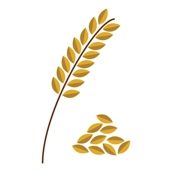白い背景の上に小麦スパイク — ストックベクタ