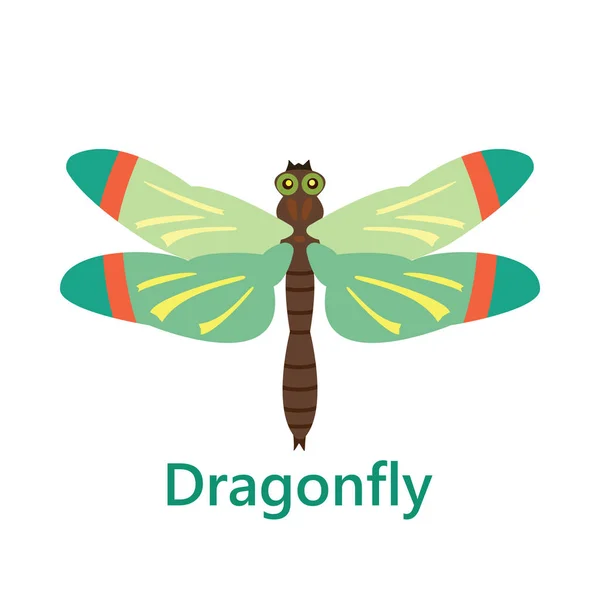 Dragonfly πράσινο σε λευκό φόντο κειμένου — Διανυσματικό Αρχείο
