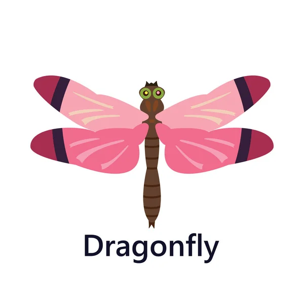 Dragonfly růžové na bílém pozadí textu — Stockový vektor