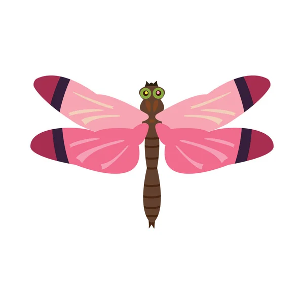 Dragonfly růžové na bílém pozadí textu — Stockový vektor