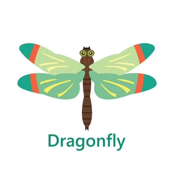 Dragonfly groen op witte achtergrond tekst — Stockvector