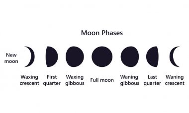 Beyaz arka plan metin üzerinde ay evreleri