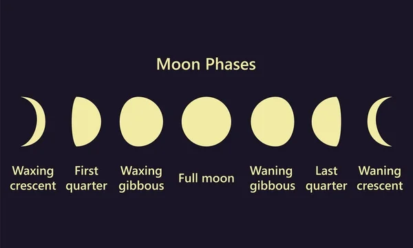 Fases lunares sobre fondo azul — Vector de stock