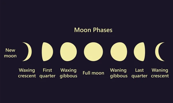 Fases lunares sobre fondo azul texto nuevo — Vector de stock