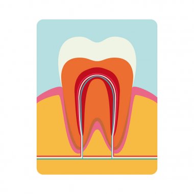 Beyaz arka plan üzerinde gerçekçi diş