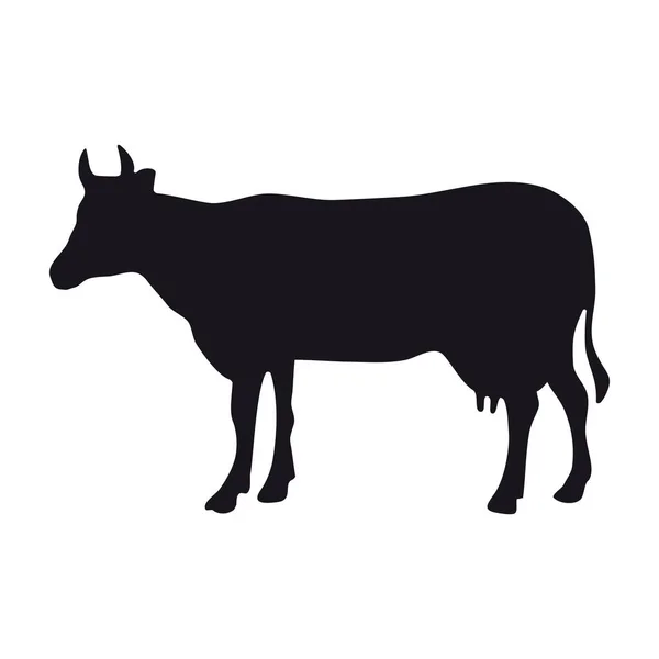 白の背景はそのシンボルの牛アイコン — ストックベクタ