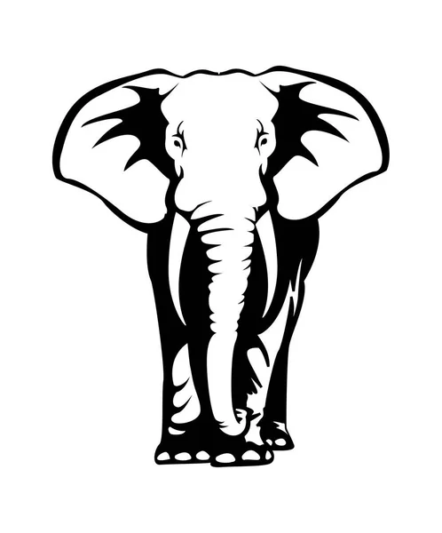 elephant drawing illustration