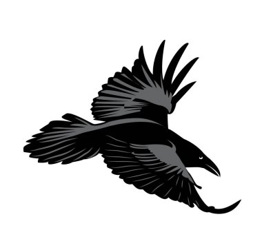crow drawing vector clipart